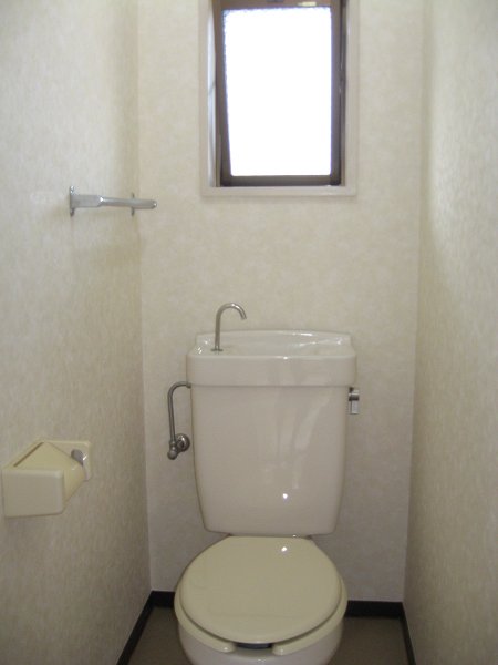 Other. Toilet