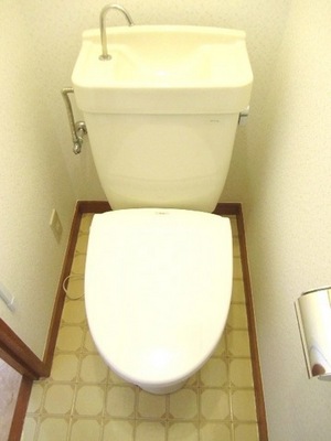 Toilet. Toilet