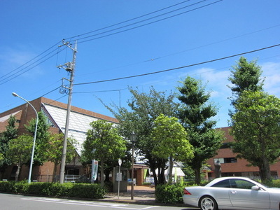 Other. 800m until Gymnasium (Other)