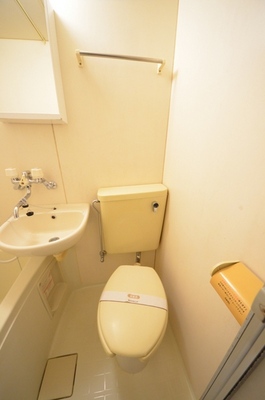 Toilet. Toilet