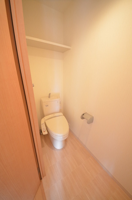 Toilet. Toilet of the wide space
