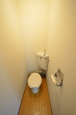 Toilet. Toilet