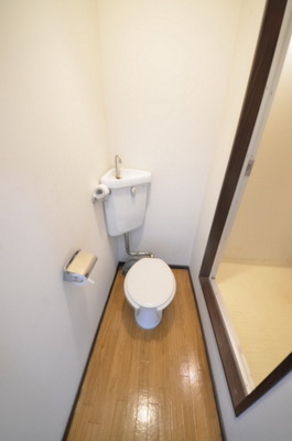 Toilet. ☆ Loose your toilet ☆
