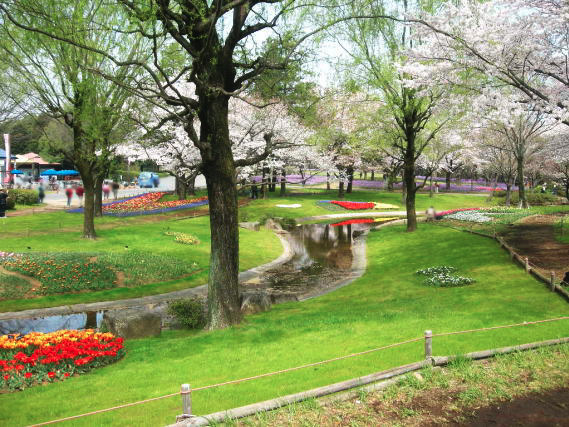 Surrounding environment. Showa Kinen Park (about 3.7km / About 6 minutes by car)