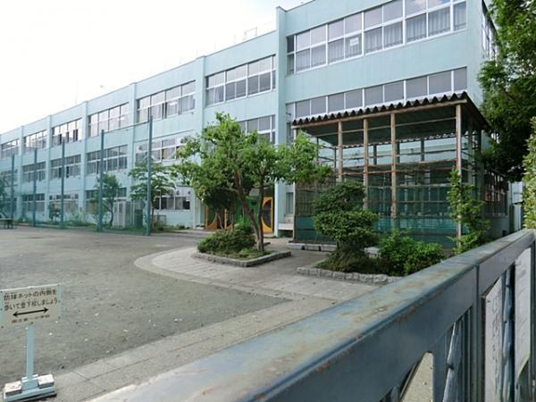 Primary school. Until the first elementary school 550m