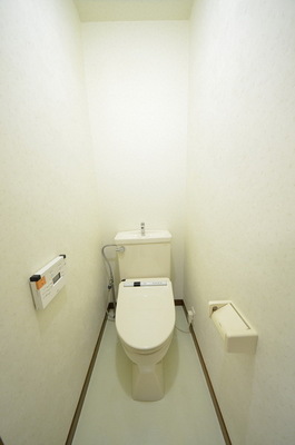 Toilet. ☆ Clean toilet ☆