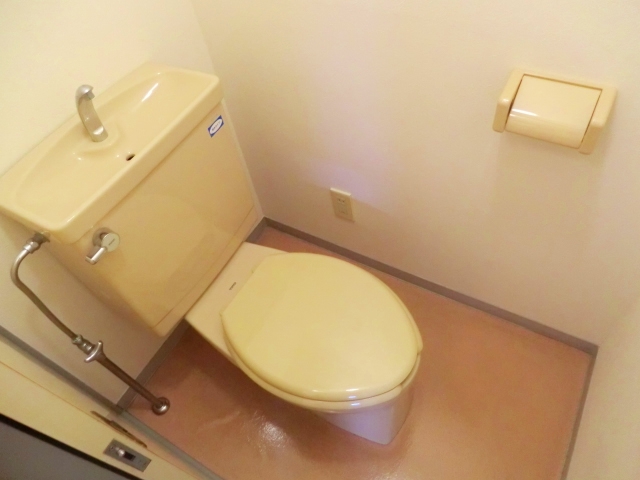 Toilet