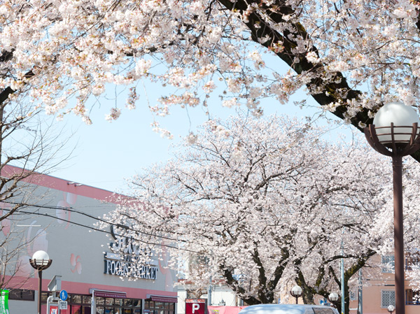 Surrounding environment. Is known for its beautiful cherry blossoms "Sakura Street" (about 530m / 7-minute walk)