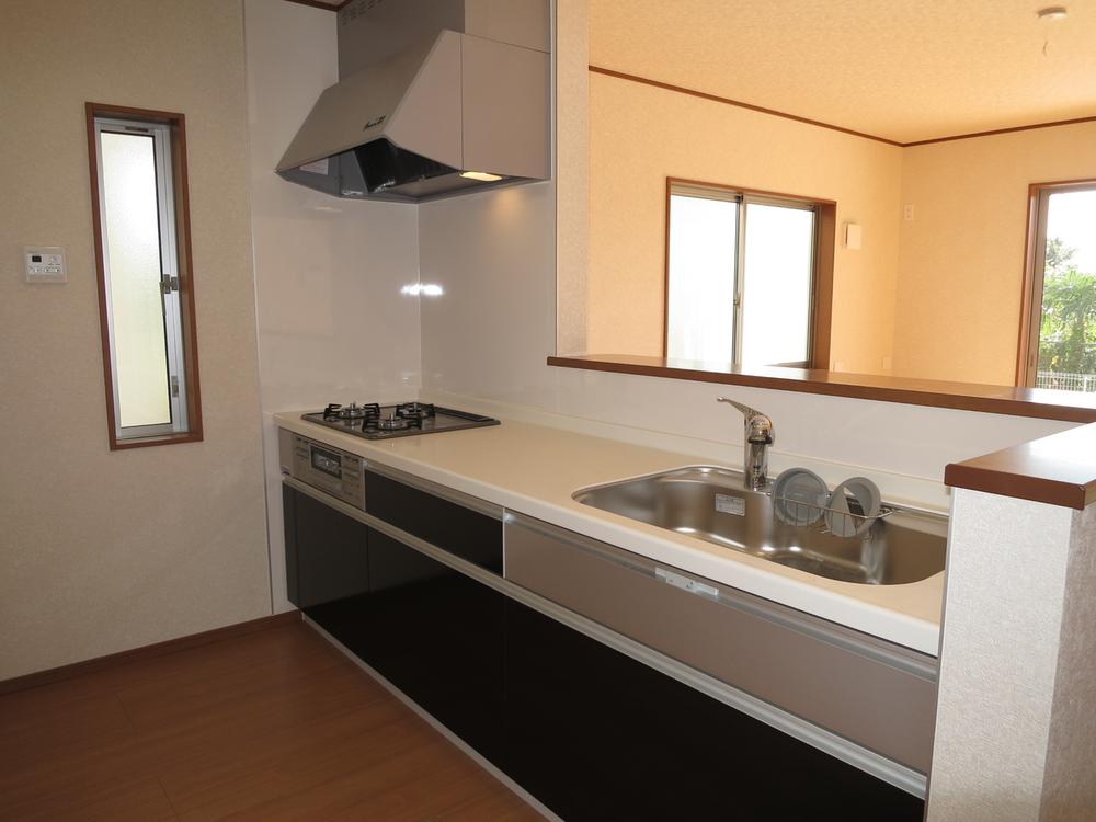 Kitchen. Indoor (13 May 2011) Shooting