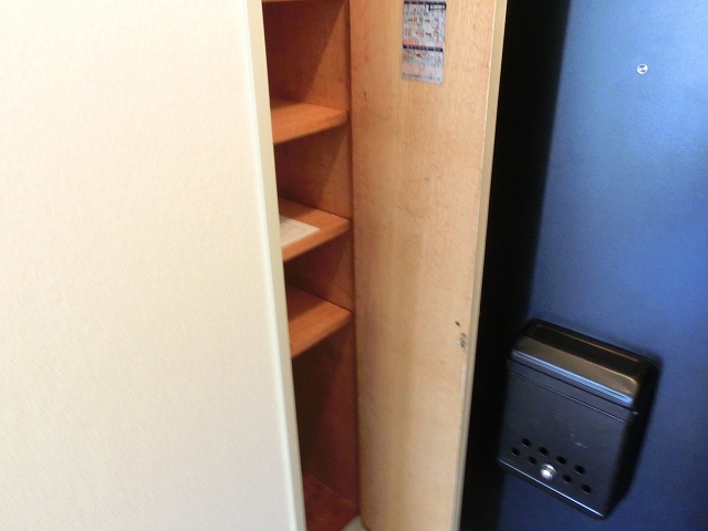 Other. Shoe box