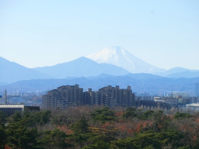 View