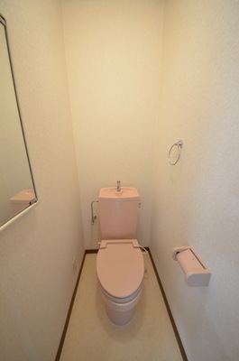 Toilet. ☆ Clean toilet ☆