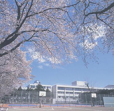 high school ・ College. 373m to Tokyo Metropolitan National High School