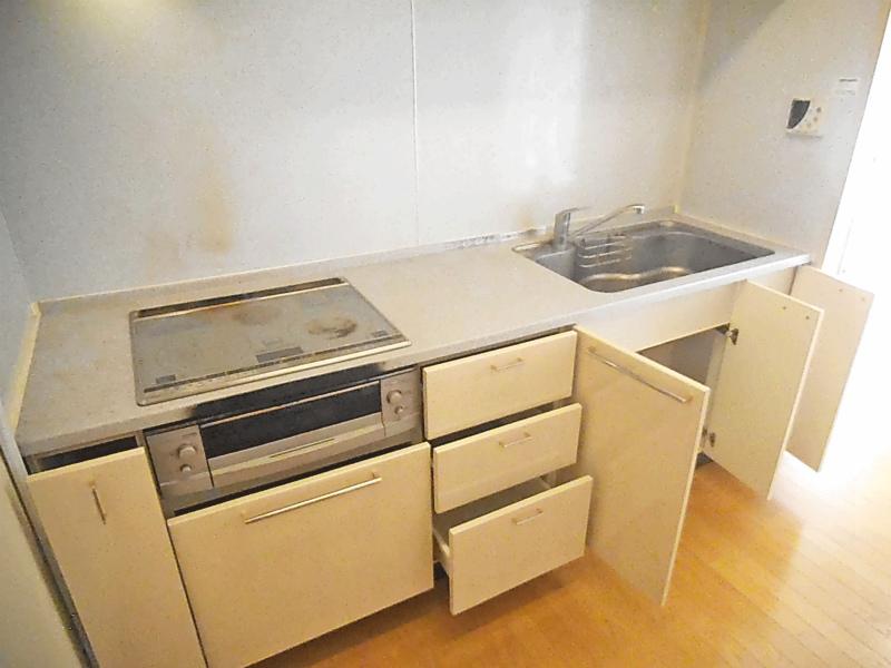 Kitchen. Kitchen of independent floor plan from living