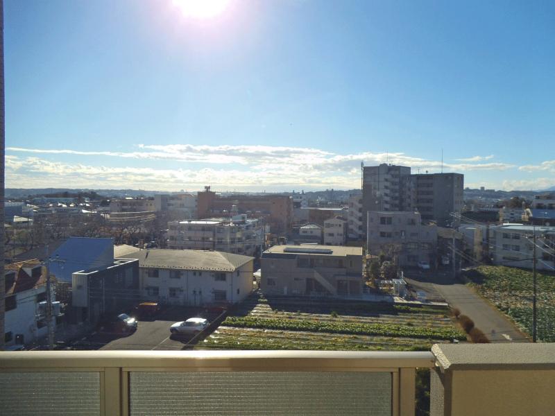 View photos from the dwelling unit. View from the balcony No front high-rise building