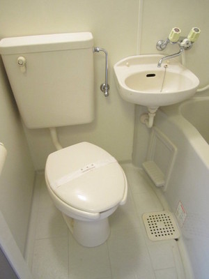 Toilet. Toilet