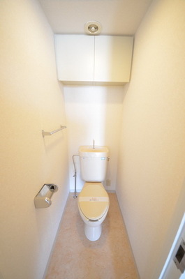Toilet. Toilet