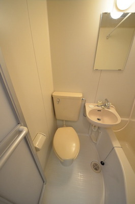 Toilet. Toilet