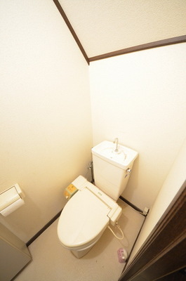 Toilet. ☆ Clean toilet ☆