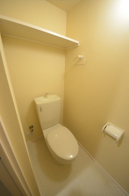 Toilet. Toilet