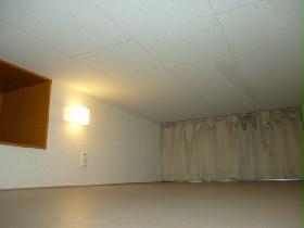 Other. loft