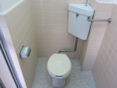 Toilet. Toilet