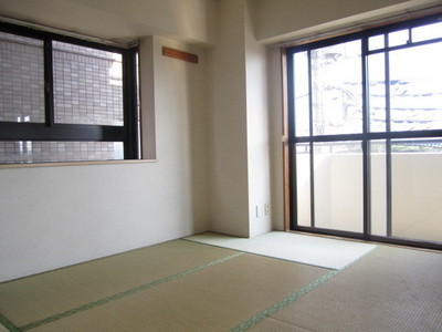 Other room space. Japanese style room