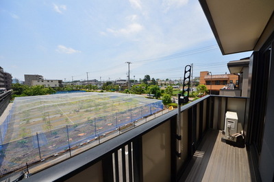 View. ☆ View ☆