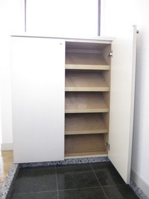 Other. Shoe box