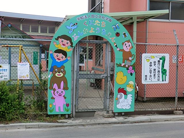 Other. National culture kindergarten
