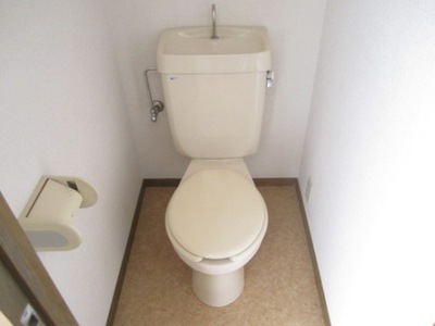 Toilet. Toilet