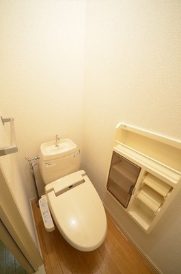 Toilet. Toilet