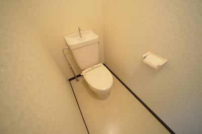 Toilet. Toilet of spread