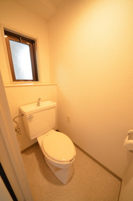 Toilet. toilet