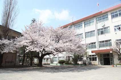 Primary school. 1270m to National City the third elementary school