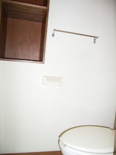 Other. Toilet