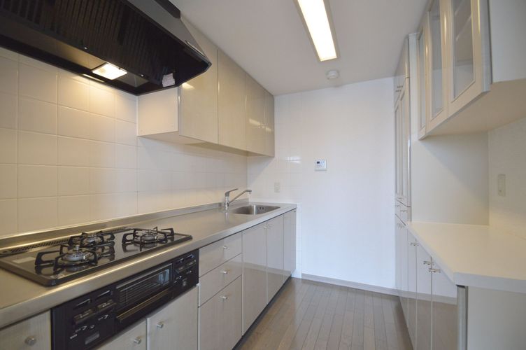 Kitchen. Kitchen