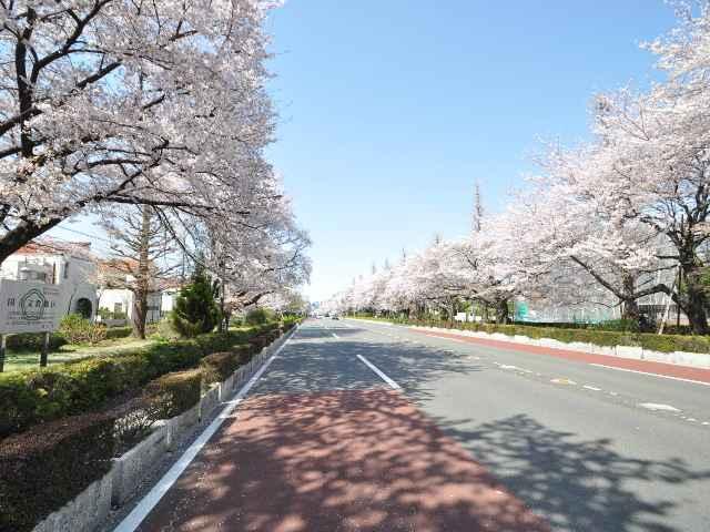 Streets around. 615m until street University