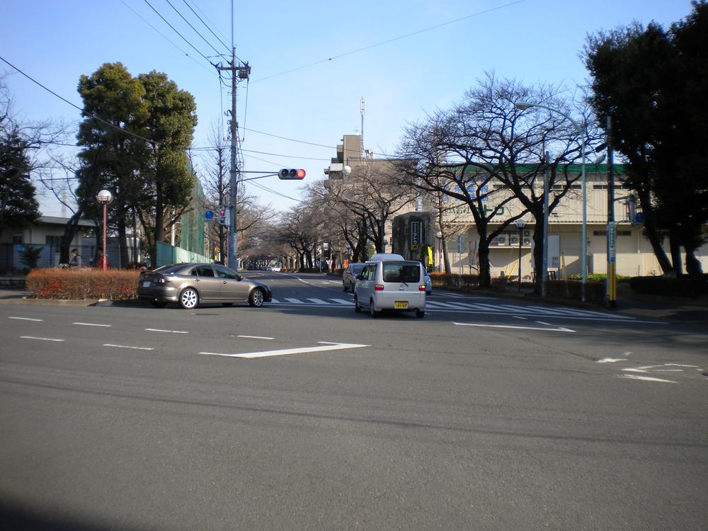 Other. Sakura Street