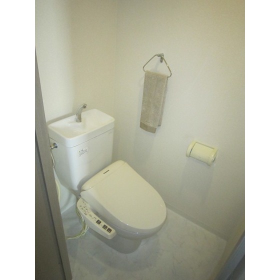 Toilet. Bidet