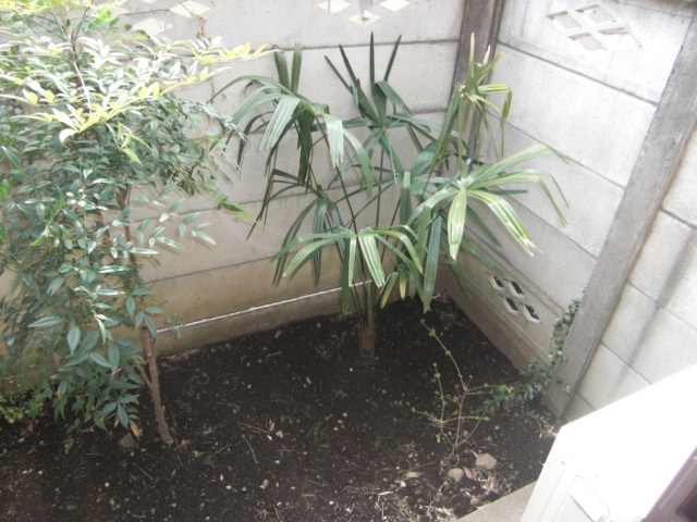 Other. Garden