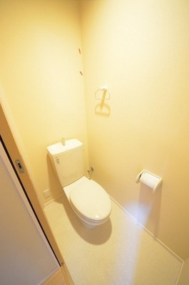 Toilet. Toilet