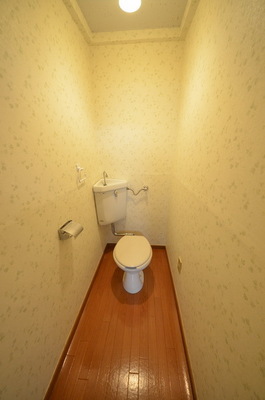 Toilet. Toilet