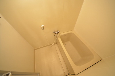 Bath. Bathtub