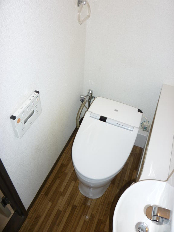 Toilet. Tankless toilet (with hot toilet seat function)