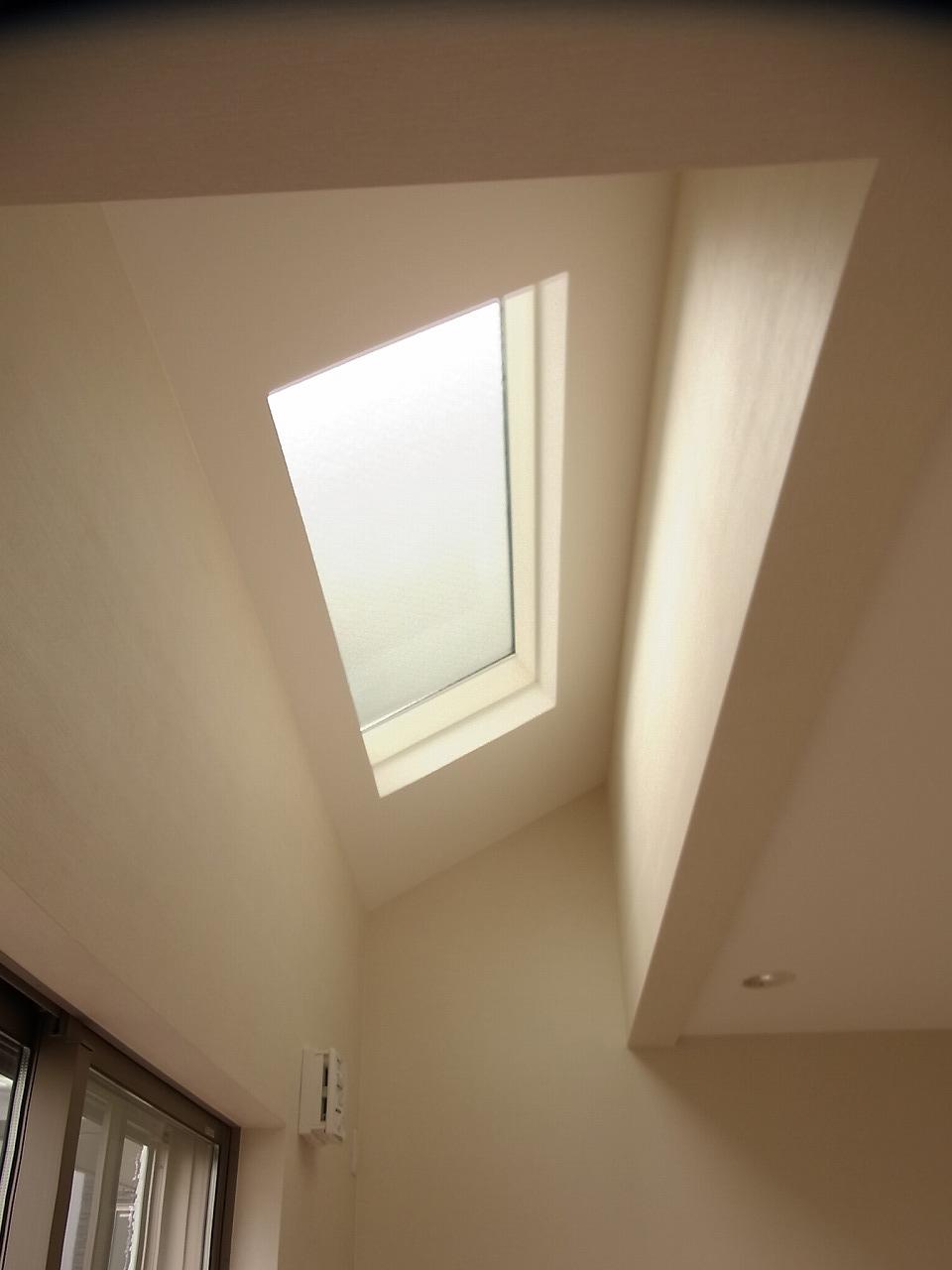 Other introspection. Light plugs into the top light.