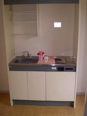 Kitchen. Kitchen