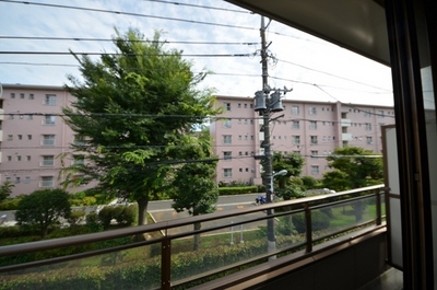 View. ☆ View ☆
