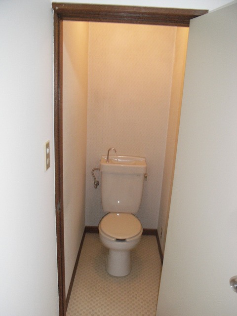 Other. toilet ☆