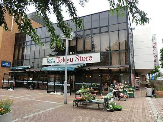 Shopping centre. Tokyu Store Chain 350m to the store of horsetail